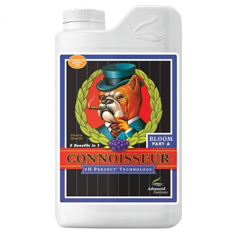 PH Perfect Connoisseur Bloom Part A 1lt